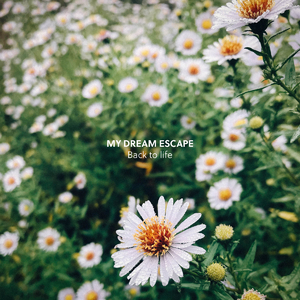 亚洲一级婬片A片AAA毛片
