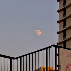 亚洲一级婬片A片AAA毛片
